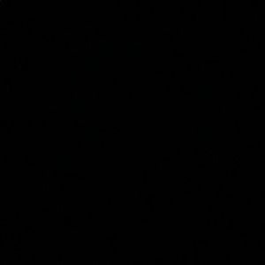 Meet your Posher, Donald